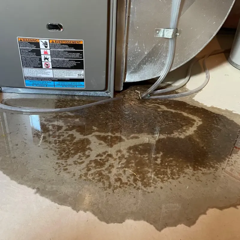 Appliance Leak Cleanup in Madison County, NC